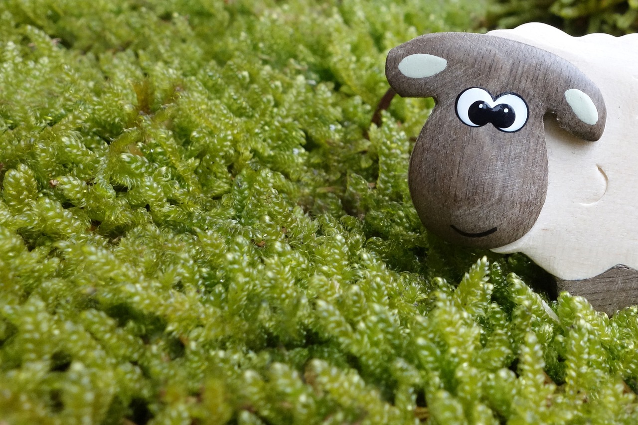 entdecken sie eine welt voller spielzeug! von klassischen puppen bis hin zu innovativen lernspielzeugen bieten wir eine große auswahl für kinder jeden alters. finden sie das perfekte geschenk für kleine entdecker und fördern sie ihre kreativität und fantasie.