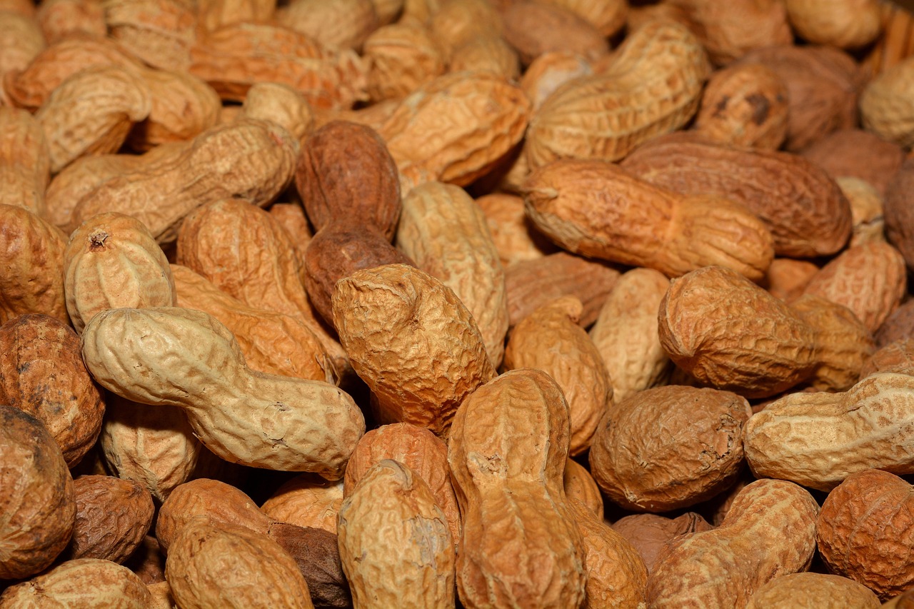 entdecken sie gesunde snacks, die sowohl lecker als auch nährstoffreich sind. perfekt für jede gelegenheit, ob als schneller energieschub oder als gesunde alternative zu traditionellen snacks. genießen sie eine vielzahl von optionen, die ihren gaumen erfreuen und ihr wohlbefinden fördern!
