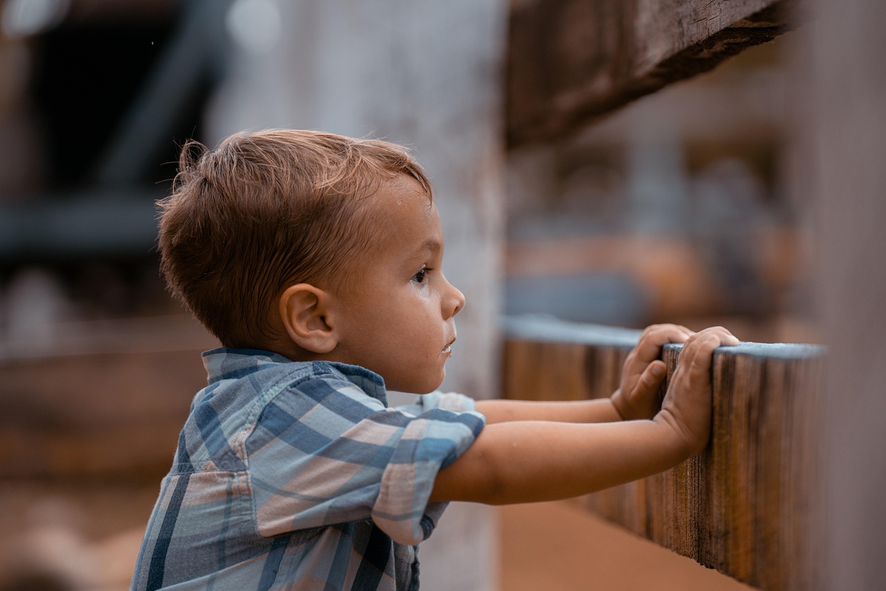 entdecken sie effektive strategien zum schutz von kindern und zur förderung ihrer sicherheit und ihres wohlbefindens. erfahren sie mehr über richtlinien, programme und initiativen zur kindergesundheit und -sicherheit.