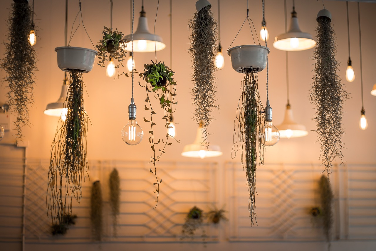 entdecken sie die vielseitige welt der beleuchtung! erfahren sie mehr über verschiedene lichtquellen, innovative designs und tipps zur optimalen beleuchtung für ihr zuhause oder büro. lassen sie sich inspirieren und finden sie die perfekte atmosphäre mit hochwertiger beleuchtung.