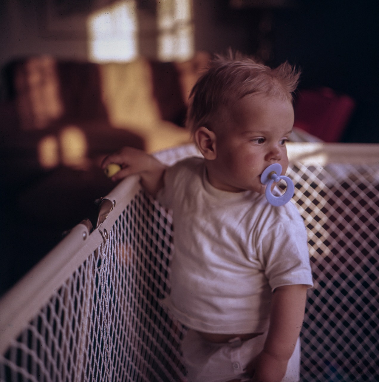 entdecken sie die besten beruhigungssauger für ihr baby. optimale sicherheit und komfort für eine entspannte schlafumgebung. erfahren sie mehr über die vorteile und tipps zur auswahl des richtigen schnullers.
