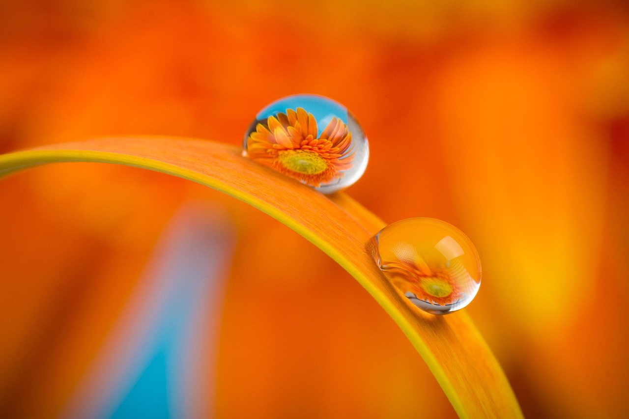 entdecken sie die faszinierende welt der farben! von lebendigen tönen bis hin zu sanften nuancen – erfahren sie, wie farben unsere emotionen beeinflussen und unseren alltag bereichern können.
