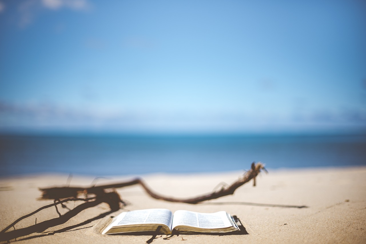 entdecken sie eine zauberhafte auswahl an kinderbüchern, die die fantasie anregen und die liebe zum lesen fördern. von aufregenden abenteuern bis hin zu lehrreichen geschichten – ideale bücher für jedes alter!