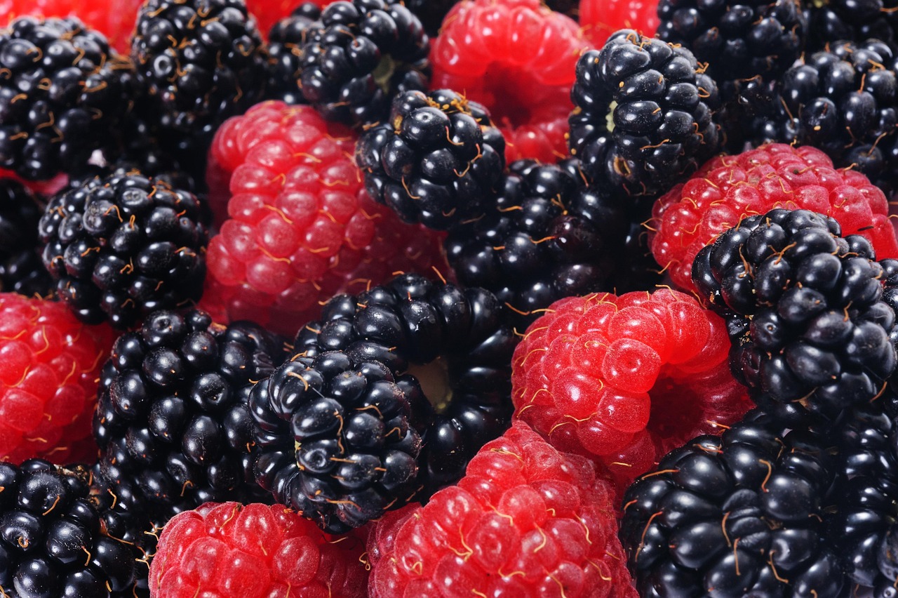 entdecken sie umfassende gesundheitsinformationen und tipps für ein besseres wohlbefinden. unser portal bietet ihnen aktuelle artikel über ernährung, fitness und mentale gesundheit, um ihre lebensqualität zu steigern.