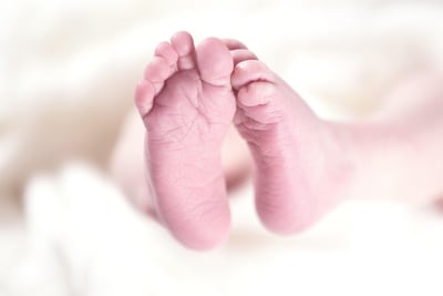 Beikost für Babys: Ein Leitfaden zur richtigen Einführung